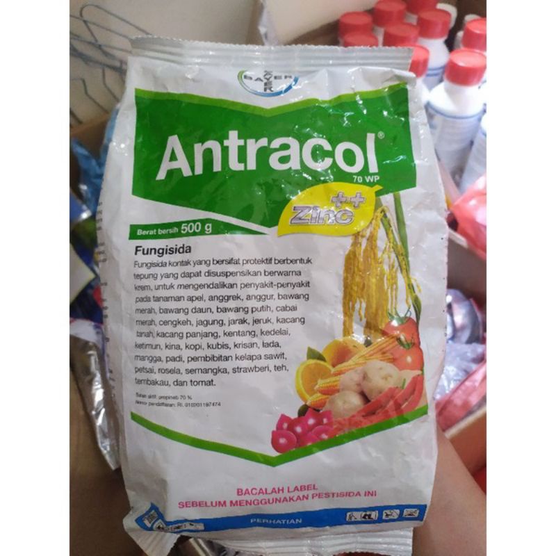 fungisida antracol 250 gr