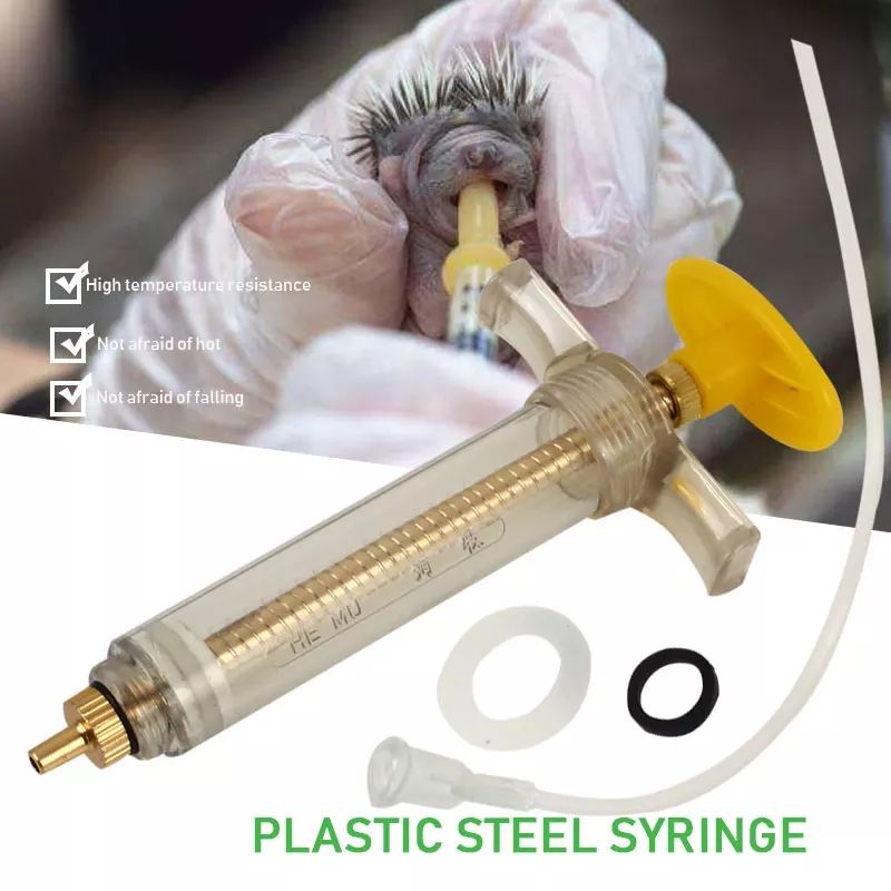 SPET LOLOHAN BURUNG LOVE BIRD PARKIT KAKAKTUA