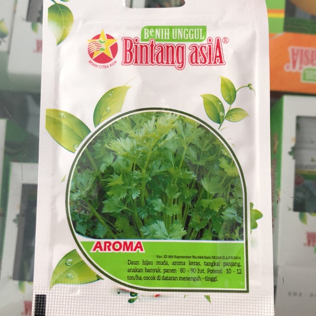 Seledri Aroma