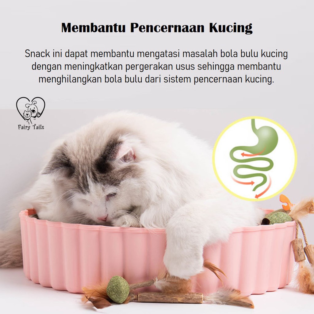 Mainan/Snack Catnip untuk Kucing (Dapat Dijilat) | Edible Catnip Toy