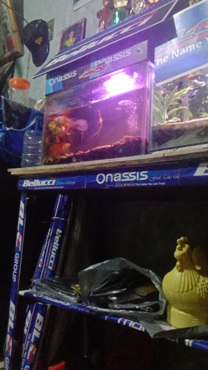 Batik Couple Keluarga Sania Ruffle Ori Ndoro Jowi Dnt Motif Kipas