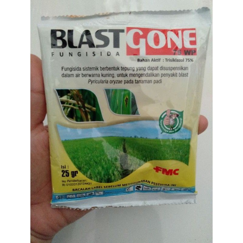 

Blast Gone 75WP 25gr