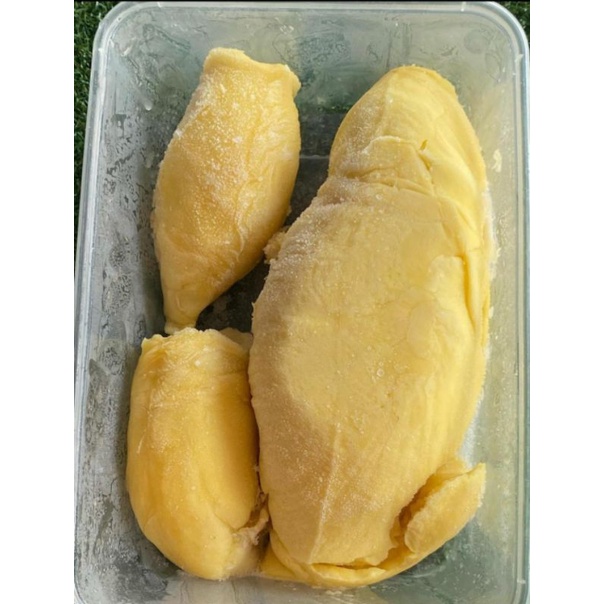 

Durian Monthong Palu Frozen