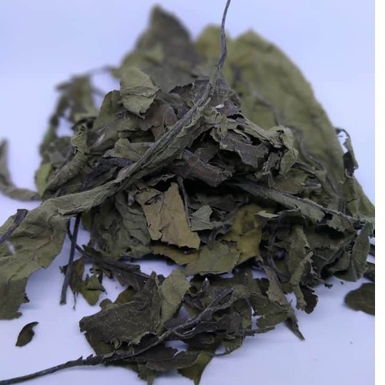 

DAUN UNGU KERING /DAUN PUTRI MURAH 50 GRAM
