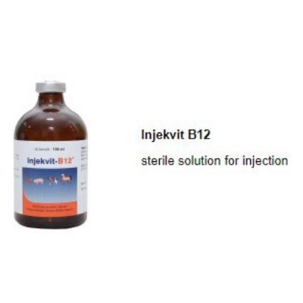 Medion / Vitamin B12 Injeksi 100 ml / Vitamin B12 Untuk Ternak Kesayangan Anda