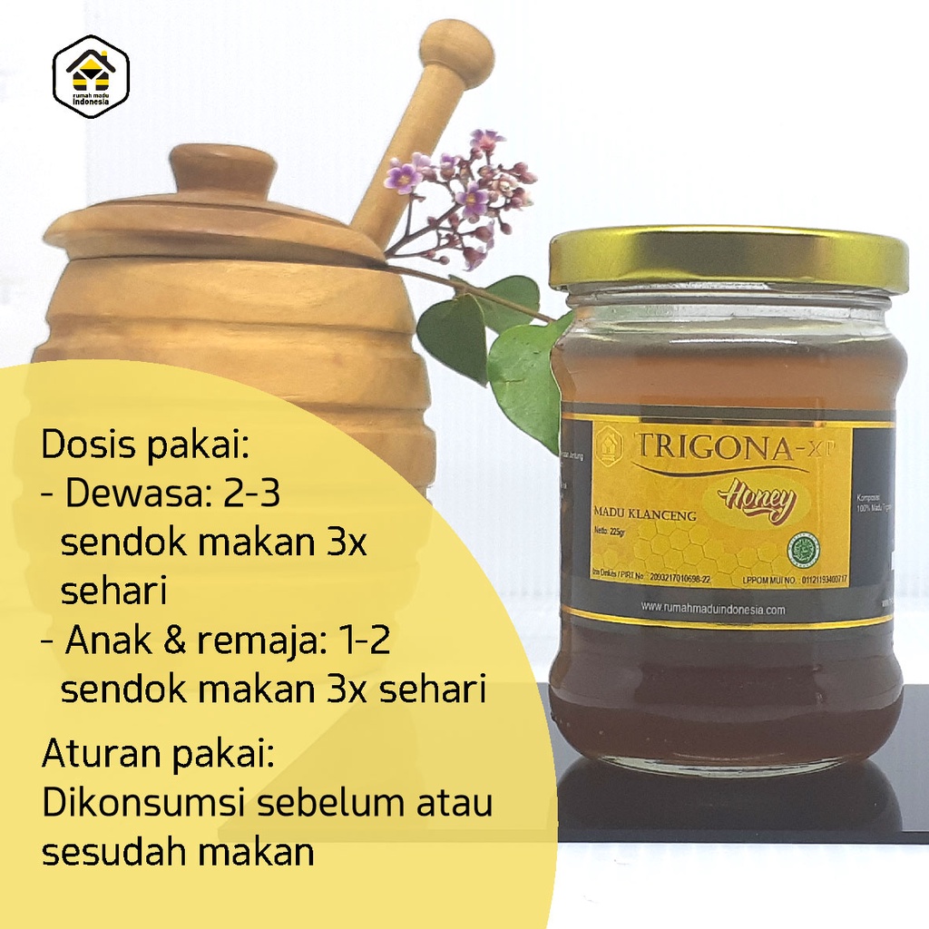 Madu Klanceng Madu Murni Asli Lebah Klanceng Original Isi 225 Gram Madu Kelulut Asli Kalimantan Madu Trigona Premium Madu Asli Murni Original Klanceng