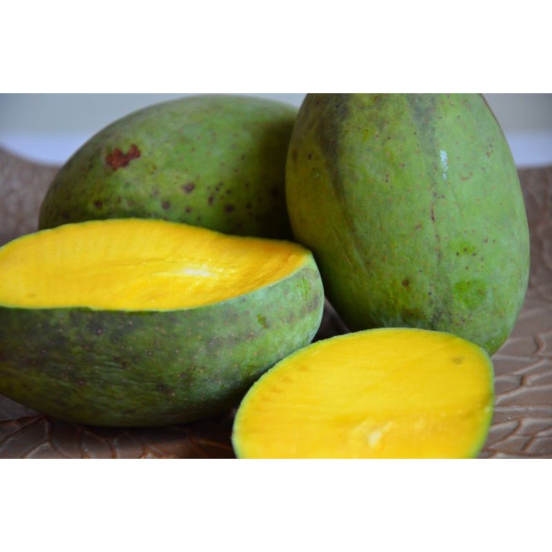

Buah Mangga Kweni