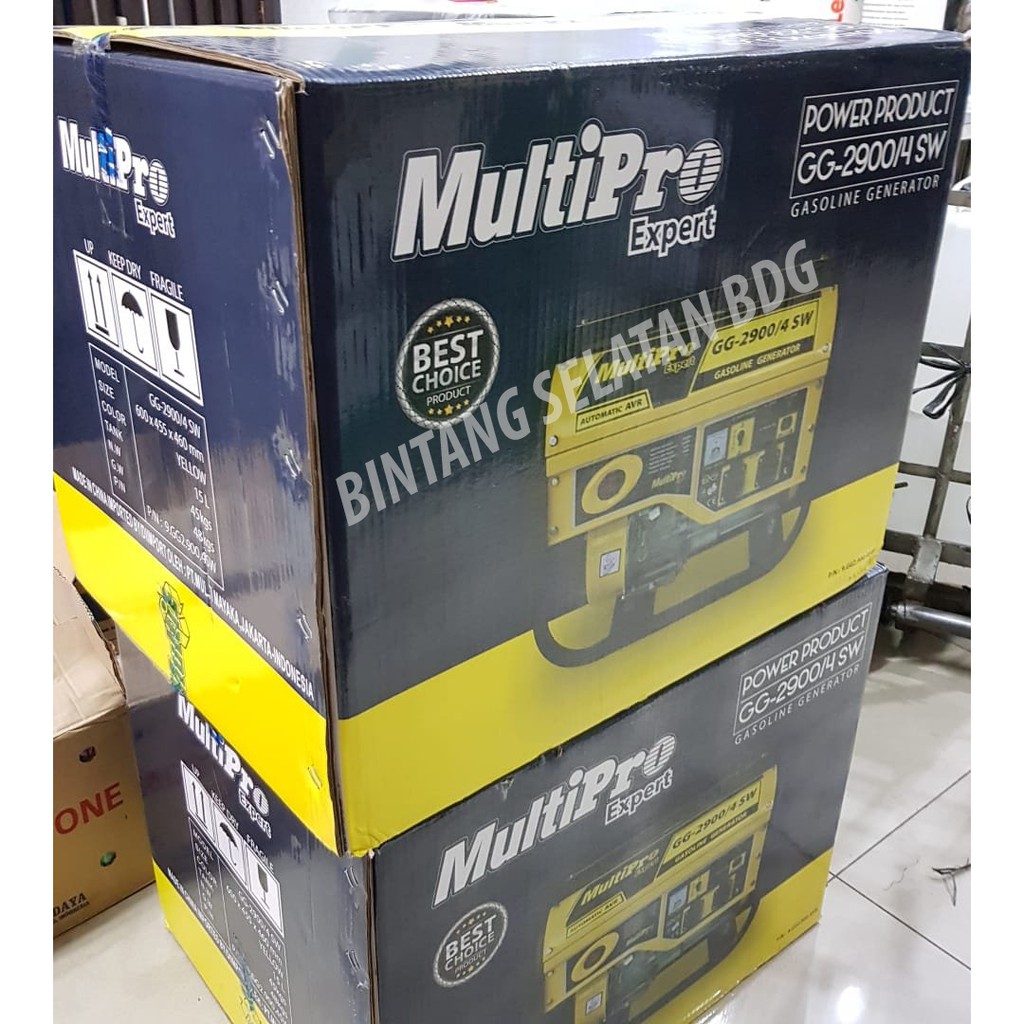 Multipro GG-2900 /4 SW Genset Portable Generator Set