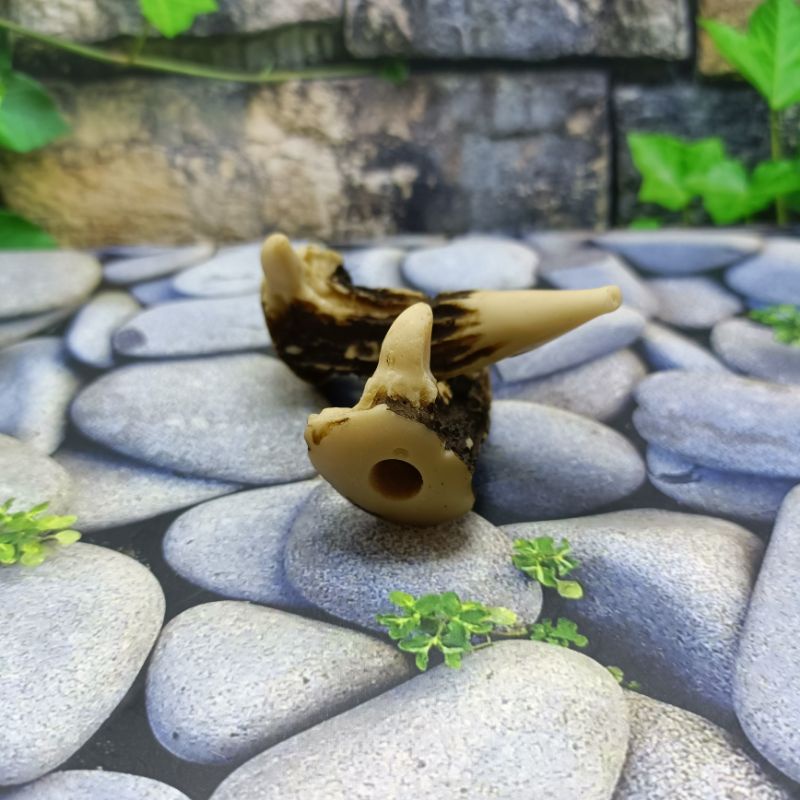 SPESIAL ONCE PIPA ROKOK TANDUK PIBER