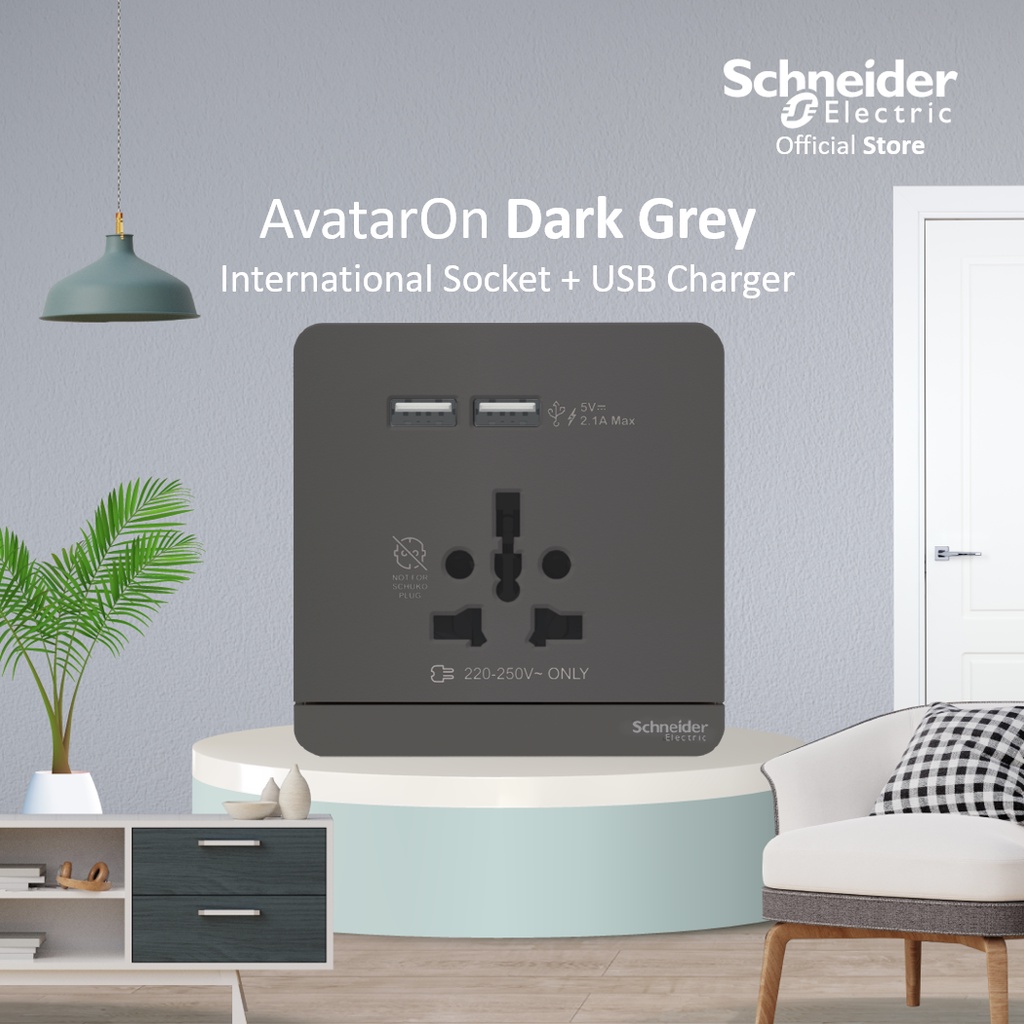 Schneider Electric AvatarOn Int Socket 16A USB 2.1A - E8342616USB_DG