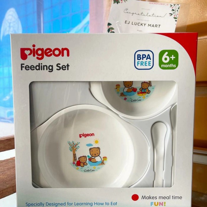 pigeon feeding set