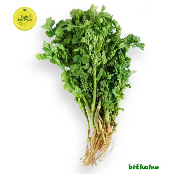 

Daun Ketumbar/ wan sui organik 100 gr (PO)