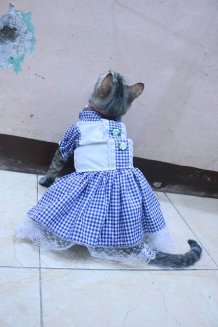 Dress kotak-kotak biru untuk kucing dan anjing / baju kucing murah size S-XL