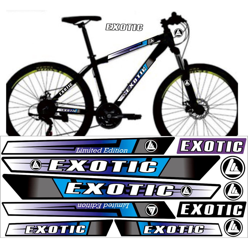 STRIPING SET STICKER SEPEDA EXOTIC