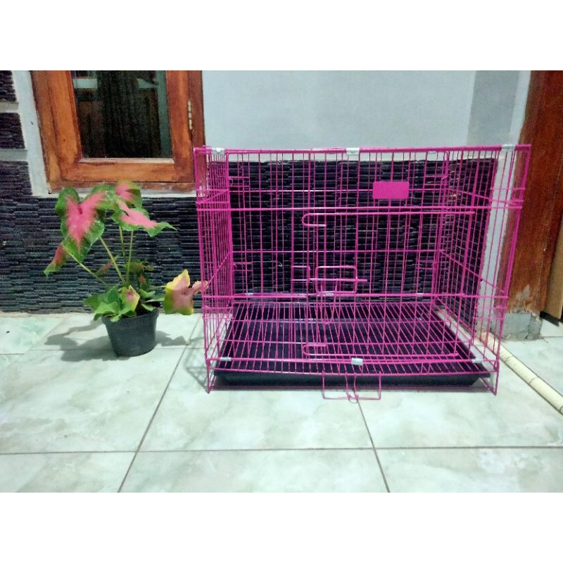 KANDANG KUCING LIPAT UKURAN L( 60×45)