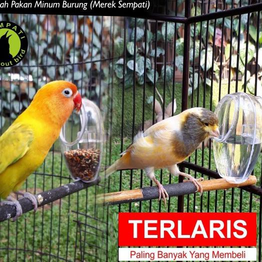 【TGP】 CEPUK WADAH PAKAN MINUM BURUNG FULL OVAL PLASTIK TRANSPARAN ANTI TUMPAH SEMPATI LOVEBIRD MURAI