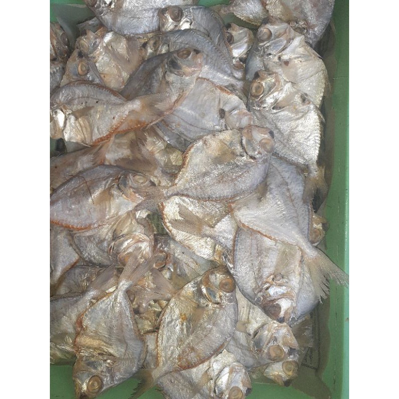 

ikan asin KEMPAR