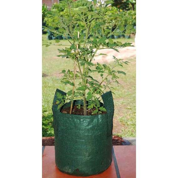 Planter bag 18 Liter EASY GROW planterbag 18liter easygrow kantong Pot polybag semai benih bibit Tanaman bunga sayuran buah planter bag