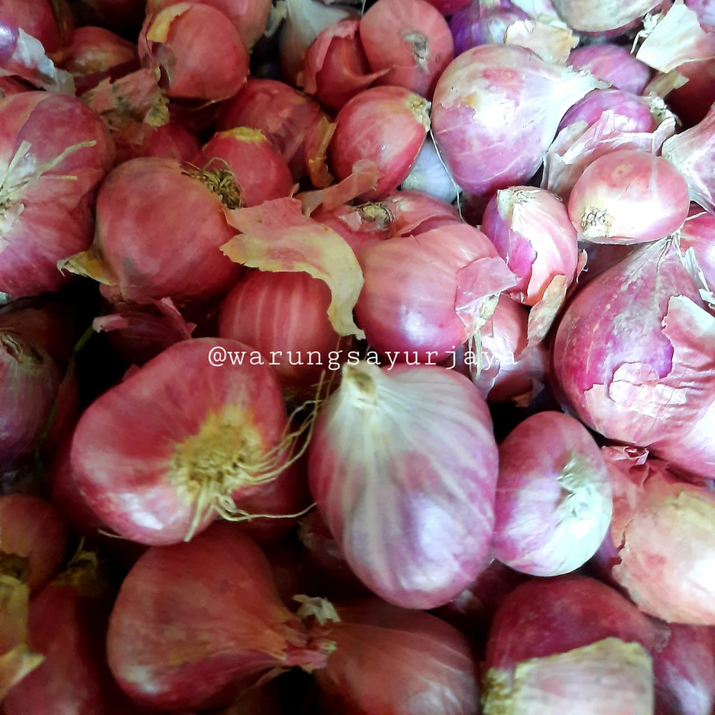 

Bawang Merah Brebes harga pasar Murah