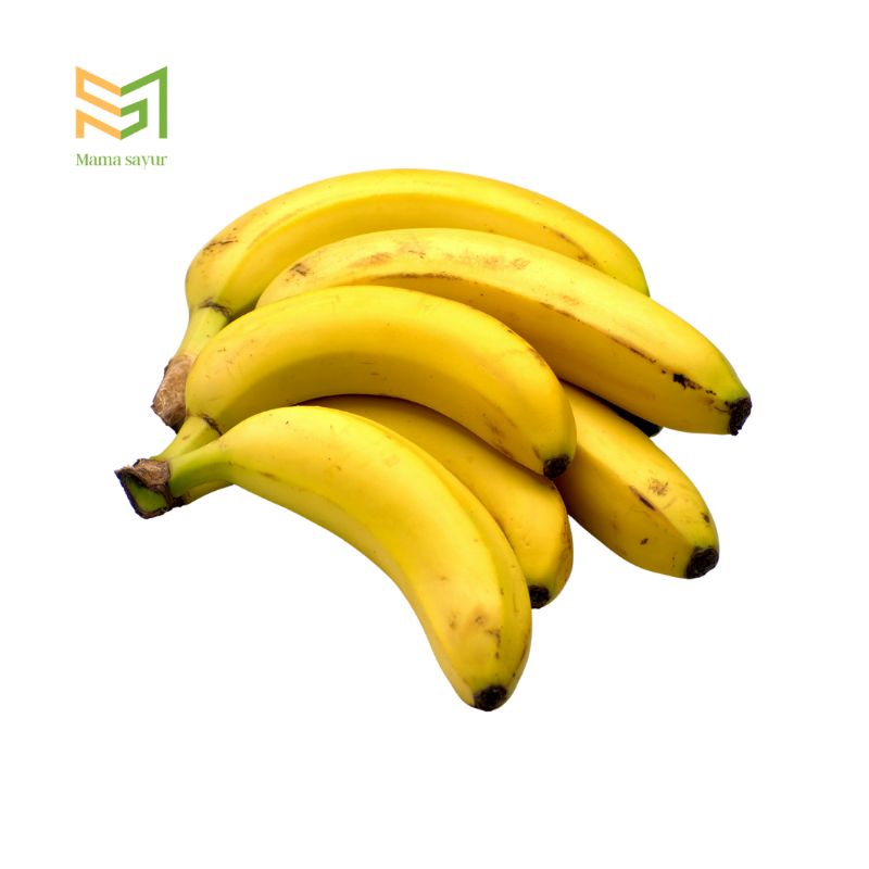 

Pisang raja segar per sisir