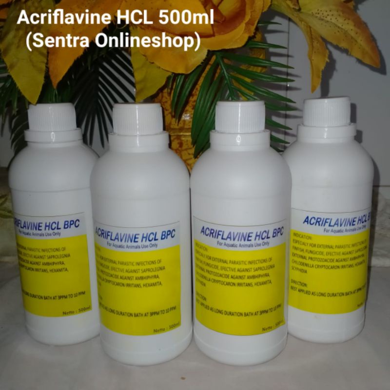 Acriflavine Hcl 500ml Obat jamur//Obat Luka(untuk Cupang,Louhan,Arwana,ikan hias)