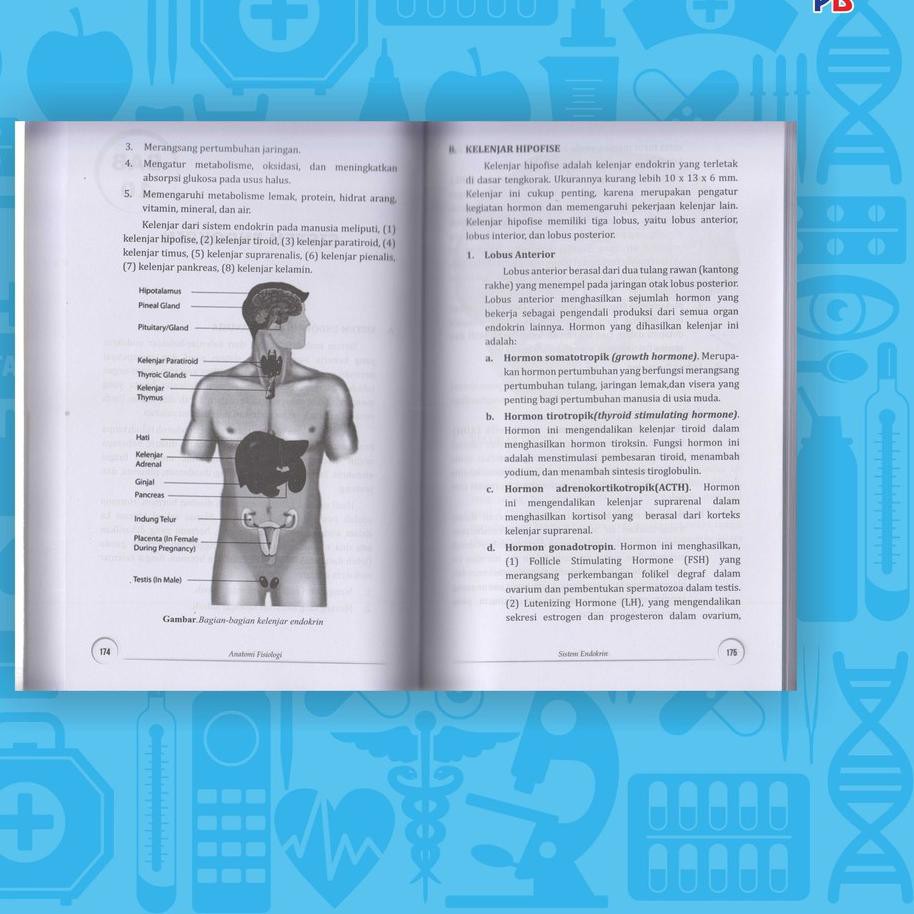 { Terpercaya } y-76 * Buku Anatomi Fisiologi Dasar-Dasar Anatomi Fisiologi PB Press | ORANGE ヾ(＠⌒ー⌒)
