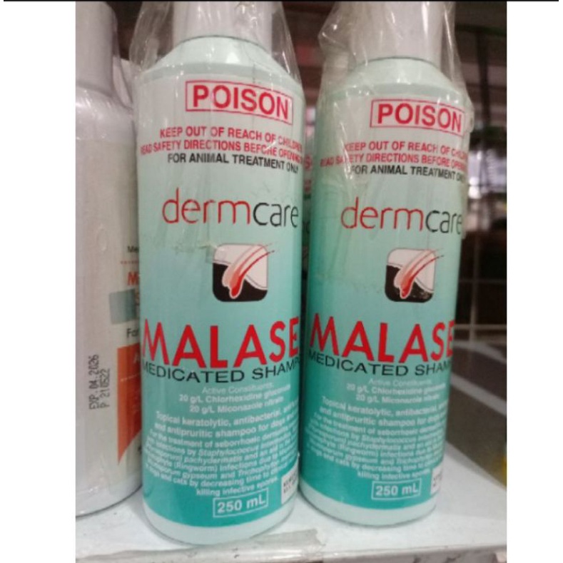 Shampo jamur buat kucing MALASEB 250ml termurah