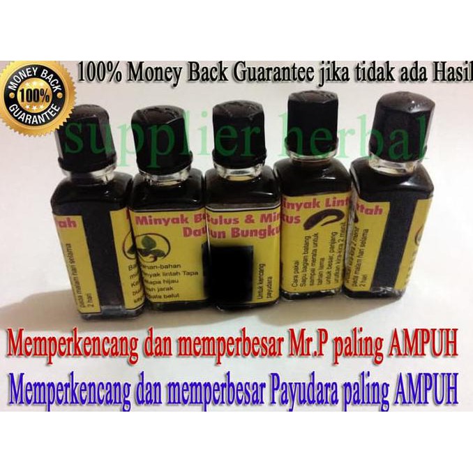Minyak Bulus + Lintah Hitam + Daun Bungkus ASLI PAPUA 100% ORIGINAL