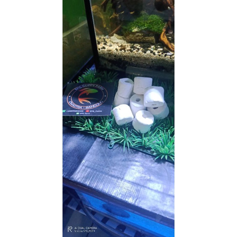 bio ring