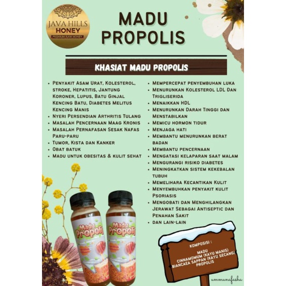 

Madu Propolis