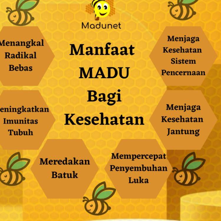 

Best Terlaris Q8JGS Madu Asli Madu Murni Hutan 1kg Asli & Murni 100% Madu Jasmine Sumbawa Multiflora