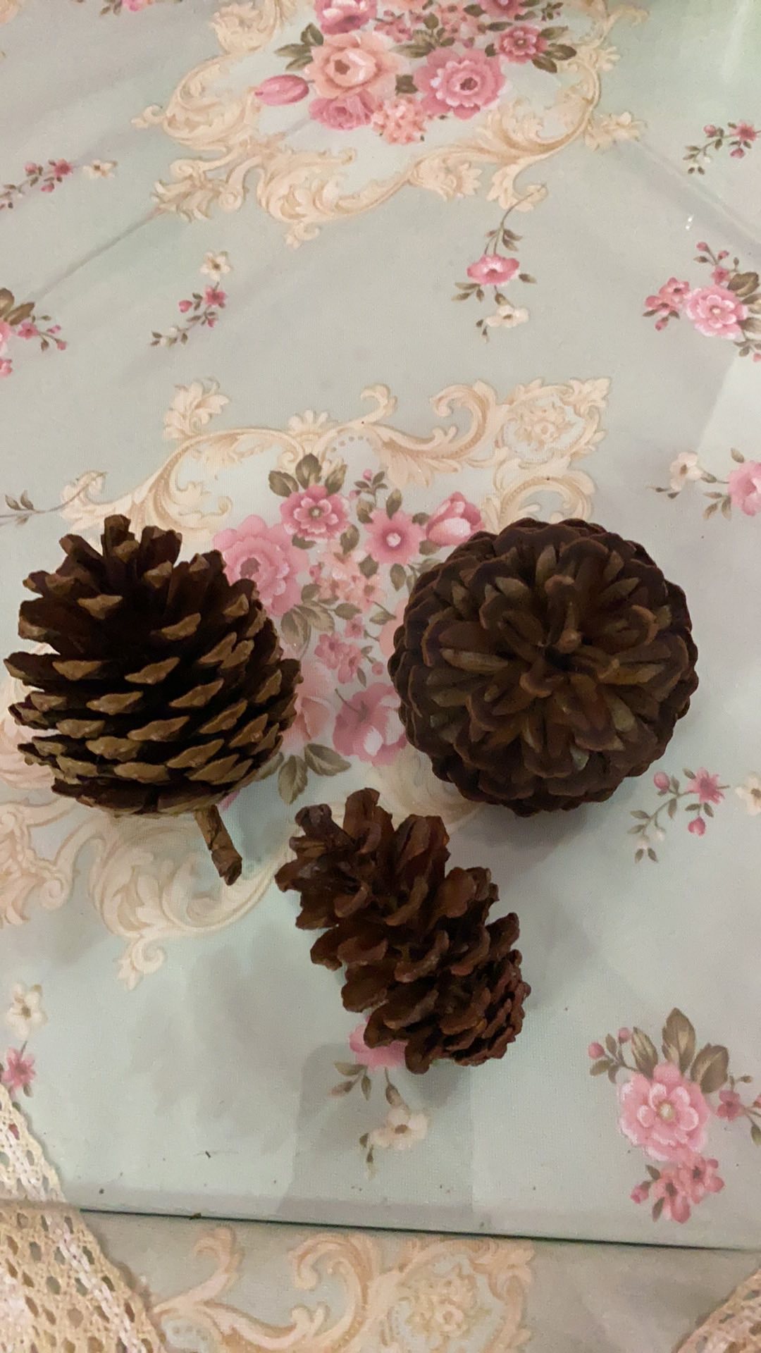 Biji Pinus Buah Kering Kerajinan Rustic Craft Mahar Ring Box Bearer Kotak Cincin Wood Slice