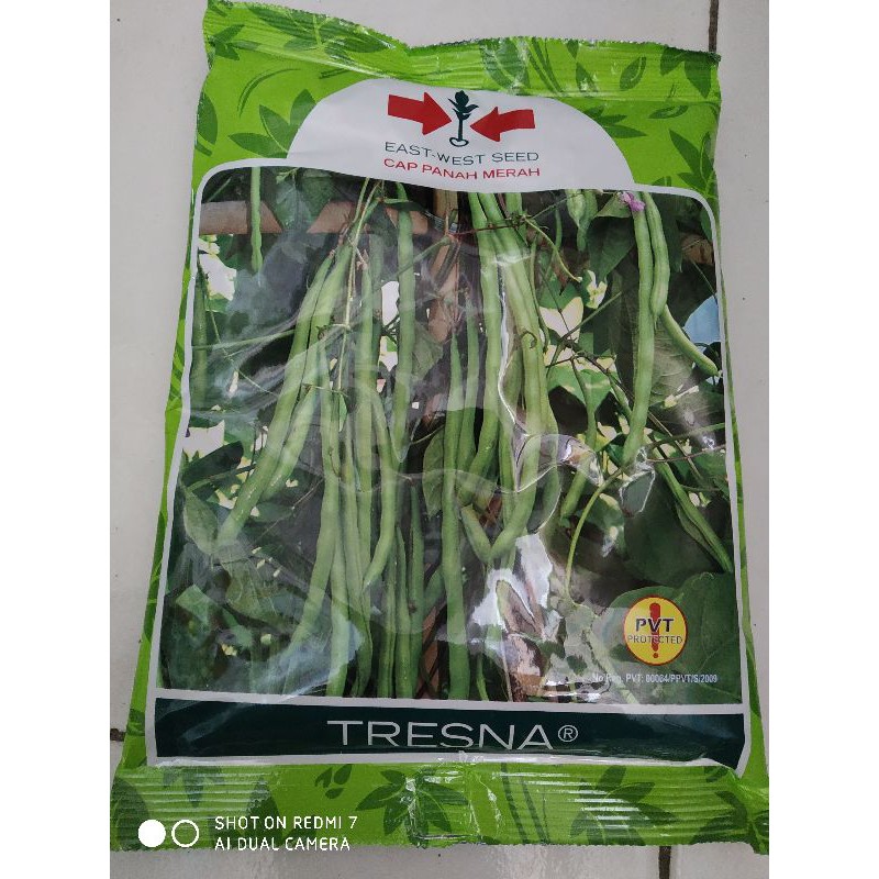 BENIH BUNCIS TRESNA @500gr