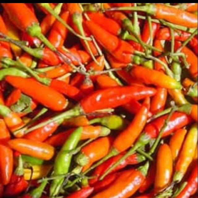 

Aneka Varian Cabe Cabai Rica 250 Gram