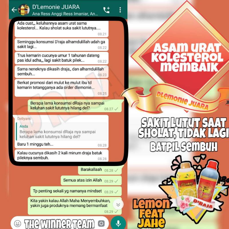 Paket Dlemonie & Rajanie