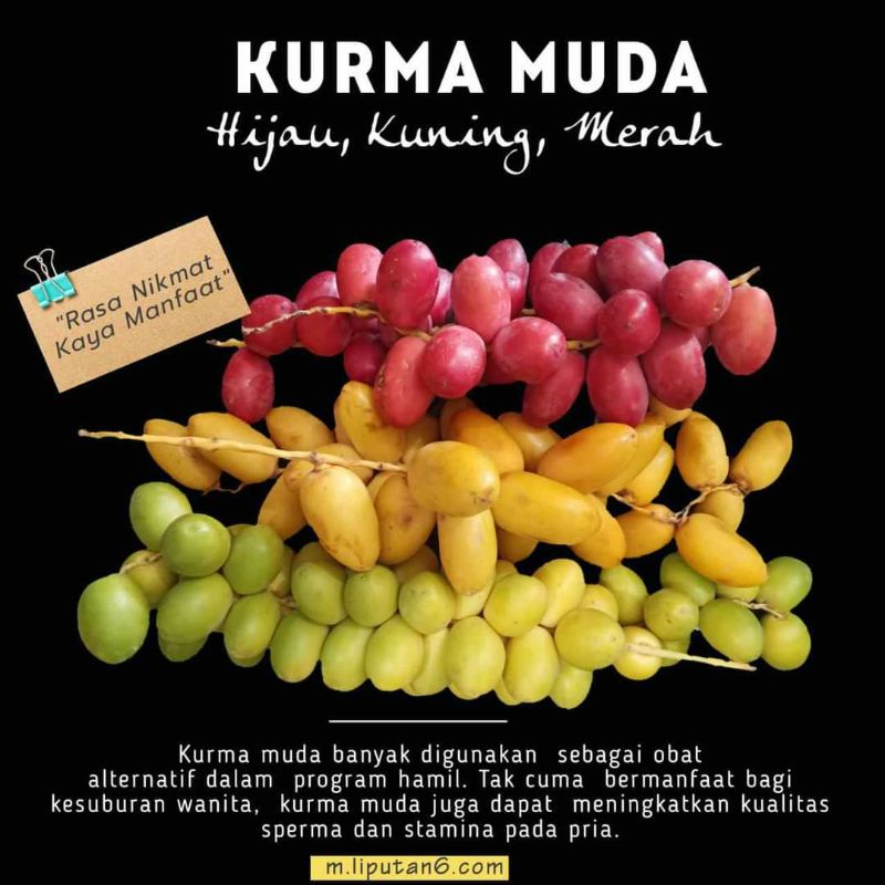 

500gr Kurma muda Merah/hijau Campur /kurma ruhtob/kurma untuk ikhtiar hamil