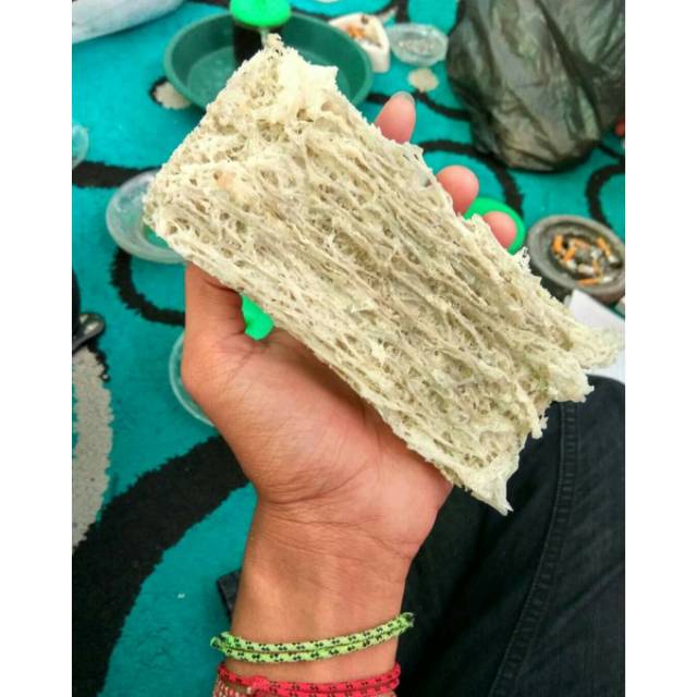 Sarang Sriti kualitas Standar 100gr