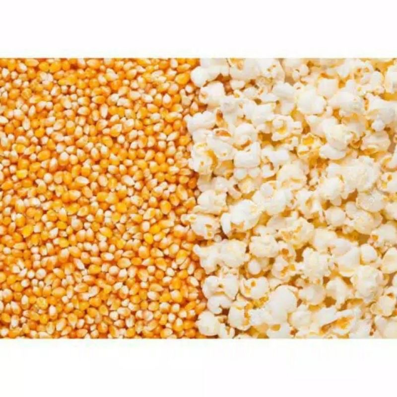 

Jagung popcorn 500g