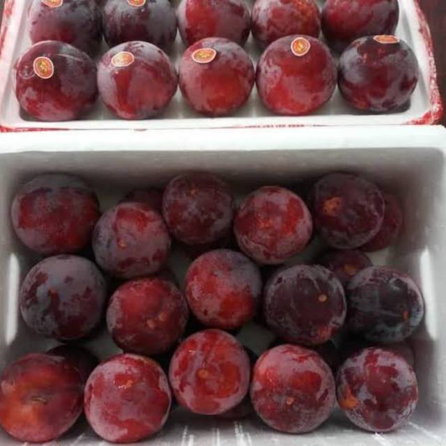 

Plum China