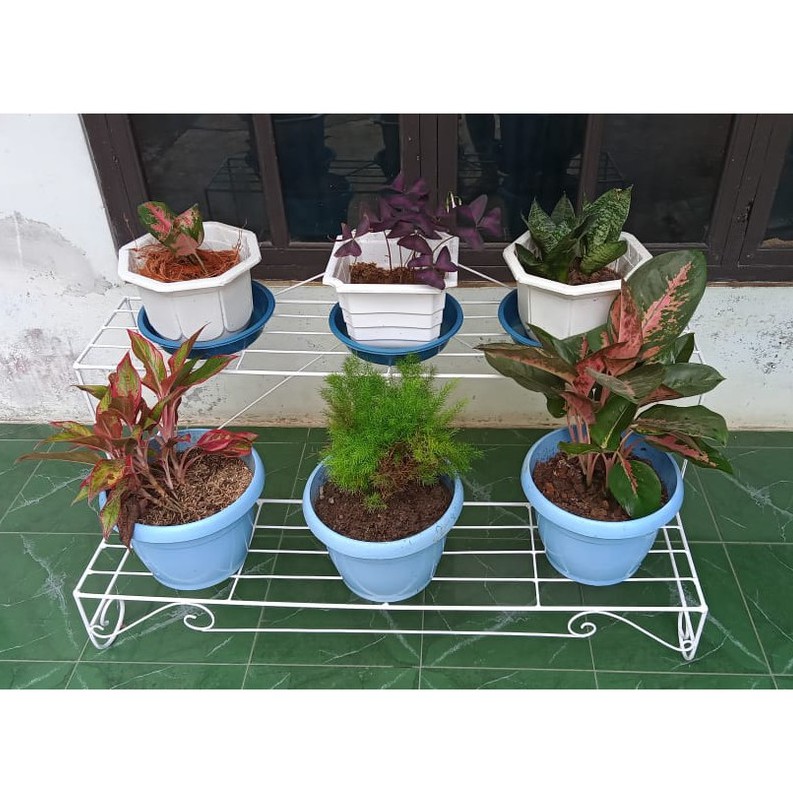 Rak Bunga Susun besi | Rak taman | Rak Tanaman hias hidup Minimalis Curva 6 susun
