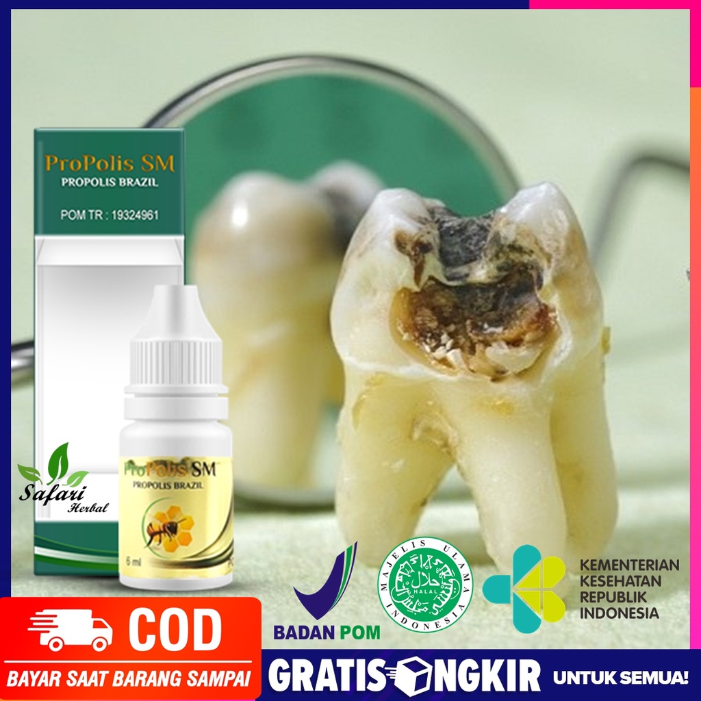 Jual Obat Gigi Berlubang Obat Sakit Gusi Bengkak Nyeri Gigi Berlubang Obat Tetes Gigi Nyut