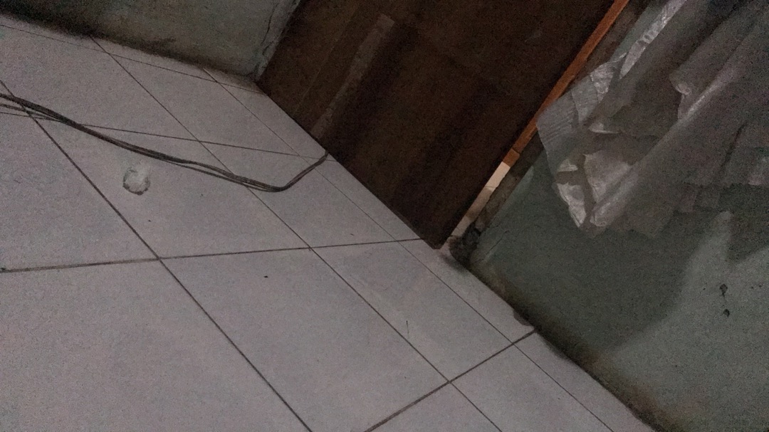 Kotak Bekal Komplit Kukuruyuk /lunch Box /ayam Jago