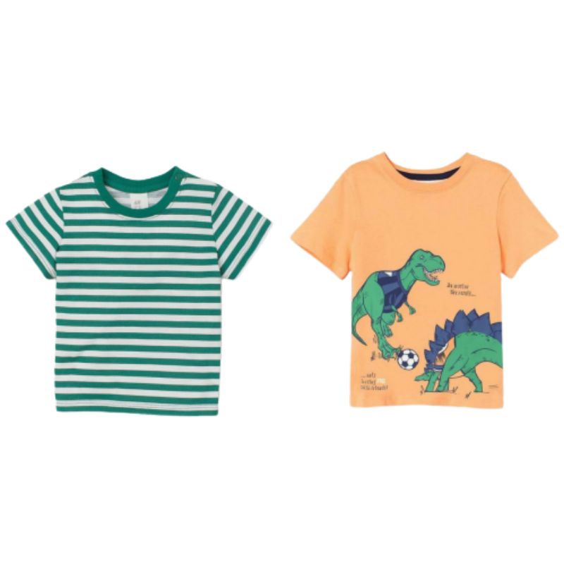 H.m Tee Pd Lk Salur & Orange Dino