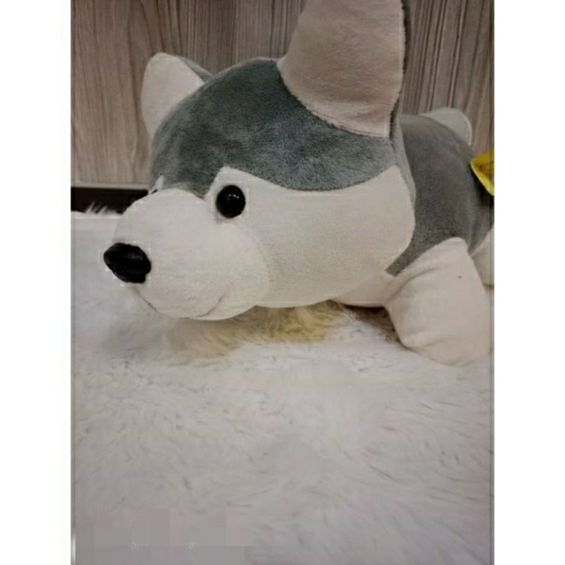 Boneka husky size L Boneka Anjing Murah Boneka Dog Doll Boneka anak Boneka murah boneka ultah hadiah ultah kado ultah hadiah ultah kado murah