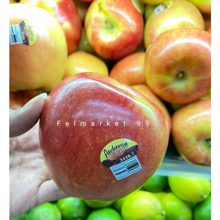 

Apel ambrosia gold USA manis & garing | 1 kg