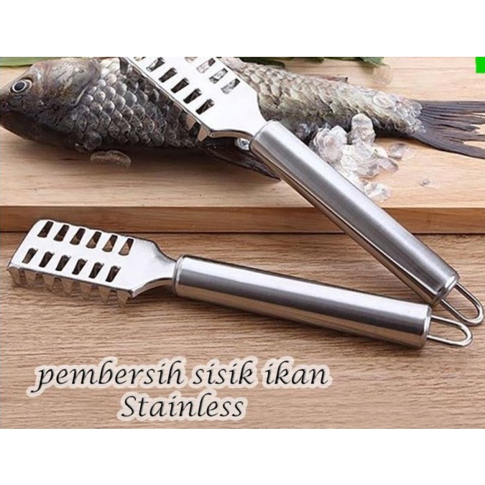 Pisau Sisik Ikan Fish Scale Remover Serutan Pisau Parutan Peeler Sisit