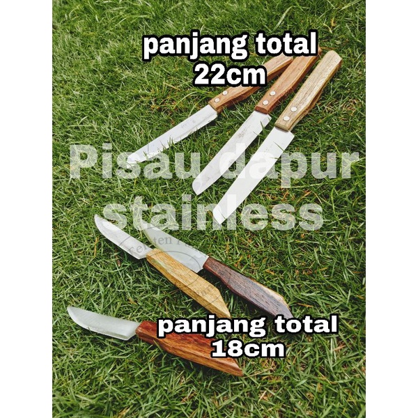 Pisau dapur stainless gagang kayu (ukuran kecil/tanggung|sedang)