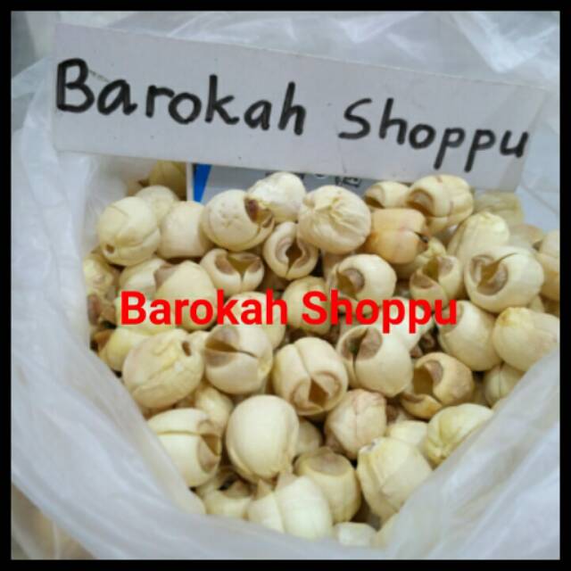 

Biji teratai lien ci isi 40 gram