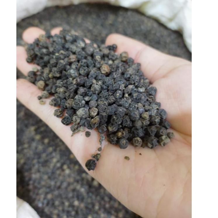 

【ORI】 Biji Lada Hitam 250G Grade A Dijamin Super Pedas murah