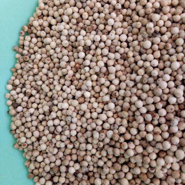 

Biji Lada putih asli Belitung 1000gr(merica/sahang)